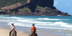 Horse Beach Riding Holidays NSW - Southern Cross Horse Treks Australia