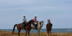 Horse Riding Holidays Port Macquarie Beaches NSW - Horse Treks Australia