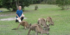 Australian Wildlife - Meeting Kangaroos During Horse Beach Ride On NSW Mid North Coast