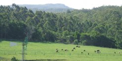 NSW Horse Riding Holiday Farm Mountain View Adventure Tours Australia