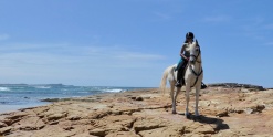 Beach Horse Riding Australia Horseback Riding Holidays