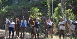 Small Group Intermediate To Advanced Riders Horse Treks NSW North Coast North Of Sydney Australia