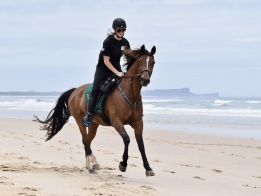 Beach Horse Riding Australia