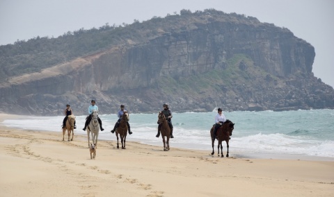 Group of Horse Riders on the Beach - NSW Australia