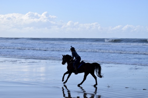 Horse Riding Adventures Australia