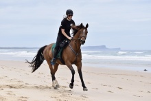 Beach Horse Riding Australia
