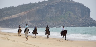 Group of Horse Riders on the Beach - NSW Australia