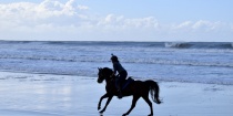 Horse Riding Adventures Australia