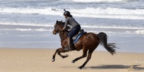 Horse Riding Beach Holidays Australia