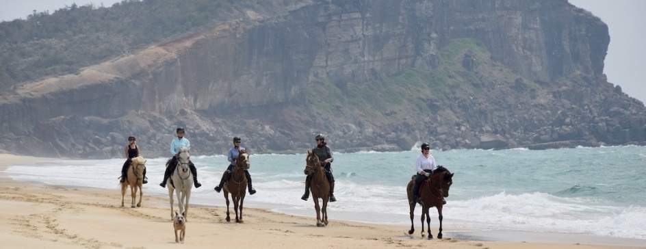 Group of Horse Riders on the Beach - NSW Australia